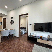 Cho Thuê Căn 2Pn 2 Vệ Sinhphân Khu Cao Cấp Nhất Dự Án Khu Masteri Toà H3 Mới Nhận Nhà Nội Thất Mới 100%