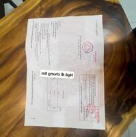 Bán đất lô góc 3 mặt thoáng tại Cát Linh - Tràng Cát dt 90,5m2 ngõ rộng 5m.
