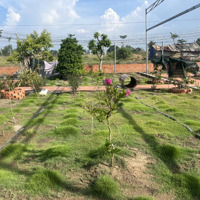 Trang Trại Đẹp, Nhiều Tiện Ích Bán Tại Đt 835, Phước Lợi, Bến Lức, Long An, 10 Triệu / M2, 1358 M2