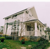Cắt Lỗ! Biệt Thự Gần 400M2 Full Đồ Nội Thất Tại Trung Tâm Lương Sơn, Bể Bơi Rộng Cạnh Nhà