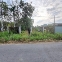 443M2 Có Thổ Cư, 10M Mặt Tiền Đường Nhựa. Gần Kcn. 1,6 Tỷ