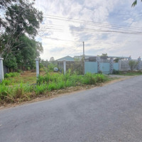 443M2 Có Thổ Cư, 10M Mặt Tiền Đường Nhựa. Gần Kcn. 1,6 Tỷ