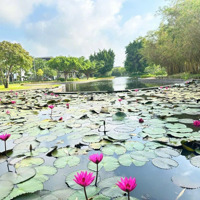 Hà Đô Charm Villas Căn 200 M Mặt Đường Liên Khu 8, Vị Trí Đẹp, Giá Tốt Nhất.