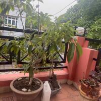 Cho thuê nhà 3 tầng khu Hiệp Bình Chánh bờ sông - vào liền