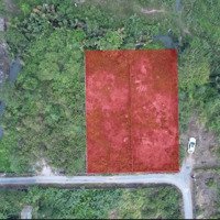 Đất Chính Chủ Kẹt Tiền Bán 1088M Hoặc 550M Giá Thấp Hơn Thị Trường