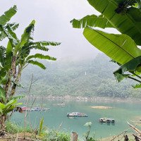 Bán 1700M Có Đất Ở Bám Hồ Tay Chạm Nước. Siêu Hiếm Tại Trục Chính Hiền Lương - Đà Bắc - Hoà Bình