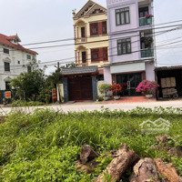 Đất Đấu Giá Trục Quốc Lộ Xã Hưng Đạo, Tiên Lữ, Hưng Yên, Giá Rẻ Nhất Hy