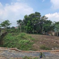 Cần Bán Gấp 450M2 Thổ Cư. Tt Hậu Nghĩa (14 _30)