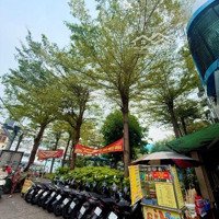 Nhà Riêng Tại Nguyễn Minh Châu, Phú Trung, Tân Phú, Hcm Giá Ưu Đãi 21 Tỷ, 172 M2