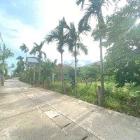 Lô Đất Đẹp Kiệt Bà Triệu - Tp Đông Hà - Quảng Trị - Ngay Gần Cầu Dây Văng - Giá Chỉ 780 Triệu