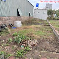 Bán Đất Đấu Giá Mặt Tiền Kinh Doanh, Vị Trí Đắc Địa Tại Chi Đông, Mê Linh, Hn.