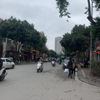 Hàng Ngộp Bank - Lk Làng Việt Kiều Châu Âu 77Mx5 Tầng, Nhỉnh 17 Tỷ