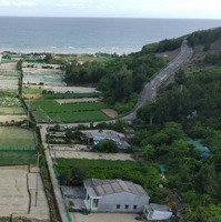 Bán Gấp Nhà Riêng Ở Xã An Hải, Lý Sơn, Quảng Ngãi, 2,7 Tỷ, 234 M2
