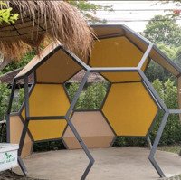Bán Lô Đất Xã Cửa Cạn (Đối Diện Ong Ong Farm) Tuyệt Đẹp Để Xây Homestay