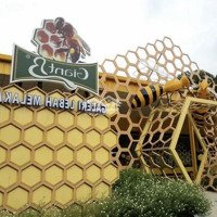 Bán Lô Đất Xã Cửa Cạn (Đối Diện Ong Ong Farm) Tuyệt Đẹp Để Xây Homestay