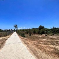 Kẹt Vốn Nên E Cần Ra Đi Nhanh Lô Đất Tâm Huyết 2 Mặt Tiền Ninh Xuân Ninh Hoà .
