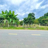 Kẹt Tiền Cần Bán Đất Vườn View Sông Mặt Tiền Tl2 Có 400M2 Thổ