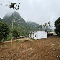 Bán Đất Nghỉ Dưỡng Chuẩn View Núi Như Sapa Thu Nhỏ
