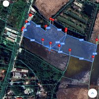 6400M2 Hẻm Dương Đình Cúc, Tân Kiên, Bình Chánh
