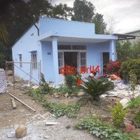 Đất 1168M2 Có 250M2 Thổ Cưmặt Tiềnđường Lê Đình Chi, Xã Lê Minh Xuân, Bình Chánh