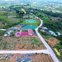 Gấp 1 Lô Duy Nhất Đông Thanh- Lâm Hà- Lâm Đồng 114M2 Sẵn Thổ Cư Đường Bê Tông Tới Đất Chỉ 3Xxtr
