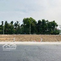 Dãy Liền Kề Đường Nhựa Thông 6M Bàn Cờ, Ngang 6M, Xây Nhà Đẹp Giá Chỉ Từ 3.9 Tỷ