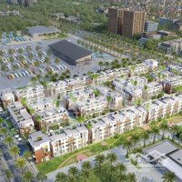 Bán Lô Góc Vườn Hoa Tm04 - 01 Hdb Palmy Biztown Phan Trọng Tuệ Thanh Trì 81M2Mặt Tiền5M Giá 88 Tr/M2
