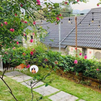 Chủ Nhờ Bán Gấp Biệt Thự Nghỉ Dưỡng Đồi Hầu Cư Yên Lương Sơn Hòa Bình.