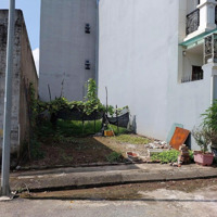Rẻ Vô Địch Có 1 Không 2, Không Nhanh Tay Phải Vào Cà Mau Mới Mua Được 132M2 8M Mặt Tiền Nhỉnh 2 Tỷ