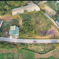 Bán Lô Vip 2 Mặt Tiền Trục Chính Cư Yên- Cổng Khu Công Nghiệp
