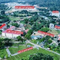 Chính Chủ Bán Lô Góc Siêu Vip 95M2 Thôn Miễu - Tiến Xuân Sát Cổng Đhqg Đối Diện Xanh Villas Giá Tốt