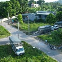 Chính Chủ Bán Lô Góc Siêu Vip 95M2 Thôn Miễu - Tiến Xuân Sát Cổng Đhqg Đối Diện Xanh Villas Giá Tốt