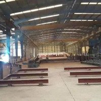 Cho Thuê 1600M2 Xưởng Tại Mỹ Hào, Hưng Yên. Giá 60K/M2. Cẩu Trục 5 Tấn. Pccc Nghiệm Thu. 0936951116