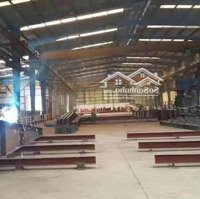 Cho Thuê 1600M2 Xưởng Tại Mỹ Hào, Hưng Yên. Giá 60K/M2. Cẩu Trục 5 Tấn. Pccc Nghiệm Thu. 0936951116
