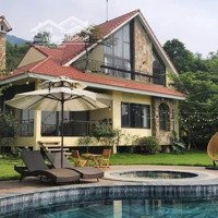 Bán Homestay Hiện Đại, Đủ Tiện Nghi Tại Tiến Xuân Gần Trường Maya
