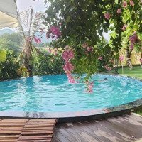 Bán Homestay Hiện Đại, Đủ Tiện Nghi Tại Tiến Xuân Gần Trường Maya