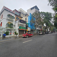 Bán Nhà Mặt Phố Hai Bà Trưng - Vỉa Hè - S 230M2 -Mặt Tiền8M - Dòng Tiền 1.8 Tỷ/Năm.