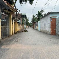 Đất Hoa Hậu Đan Phượng - Kề Vin - Đường Oto - Tiện Ích Bạt Ngàn - Đầu Tư Thông Minh, Hiệu Quả