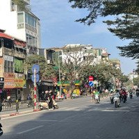 Chính Chủ Bán Gấp Mặt Phố Tôn Đức Thắng, Đống Đa, 130M, Mt:4,1M, Full Thổ Cư, Qh Ổn Định, Xây Tòa