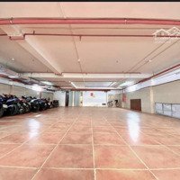Bán Toà Nhà Mp Phùng Chí Kiên Cầu Giấydiện Tích251/270M X 8T Xmặt Tiền10,5 M Giá Bán 132 Tỷ Có Thương Lượng
