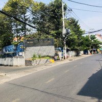 Bán Nhà Trọ Hẻm Xe Tải Đường 385 Tnpa Quận 9 Ngay Đh Tài Chính Marketing 175M2 Giá Bán 11 Tỷ 700
