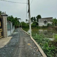 Sở Hữu Đất Tp Hcm 100M2 Giá Bán 1,5 Tỷ Ngay Chợ Bờ Ngựa, Tân Kiên, Bình Chánh, Hẻm Đ. Hưng Nhơn.