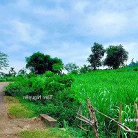 Ôi Đẹp Thế
15.000 M2 (400 Thổ Cư) Sẵn Khuôn Viên Như Hình Giá Chưa Đến 3 Tỷ Tại Tân Lạc, Hòa Bình