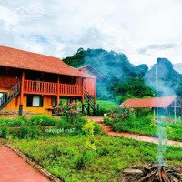 Ôi Đẹp Thế
15.000 M2 (400 Thổ Cư) Sẵn Khuôn Viên Như Hình Giá Chưa Đến 3 Tỷ Tại Tân Lạc, Hòa Bình