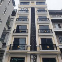 Bán Toà Chdt Gần 1Tỷ/Năm,Pccc Đầy Đủ,Thiết Kế Hàn Quốc,Full Nội Thất,An Sinh Tốt,Giá Đầu Tư