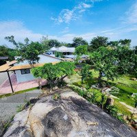 Bán Homestay Long Hải 1200M2 - Sẵn 100M2 Thổ Cư - 30M Mặt Tiền Đường Nhựa