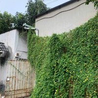 Phòng Trọ Sinh Viên, Yên Tĩnh, Nhiều Cây Xanh