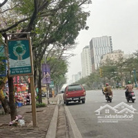 Bán Tòa Văn Phòng 320M2, Mặt Phố Hoàng Cầu 11 Tầng, Mặt Tiền 13M, Cho Thuê 8 Tỷ/Năm, 220 Tỷ Tl