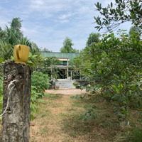 Bán 1214 M2 Có 300 M2 Thổ Cư ( Có Thể Xin Lên Full 1214 M2 Thổ ) Có Sẵn Nhà Cấp 4