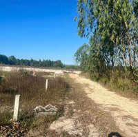 Hot, Bán Đấtdiện Tích2 Sào, Hẻm Lê Đức Thọ, Đường Rộng Rãi, Thoáng Mát, Giá Bán 800 Triệu, Xã Tân Bình, Tx La Gi